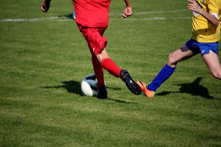 开云中国大陆-国际足球俱乐部青训论坛在广州召开，国际足联青训补偿标准