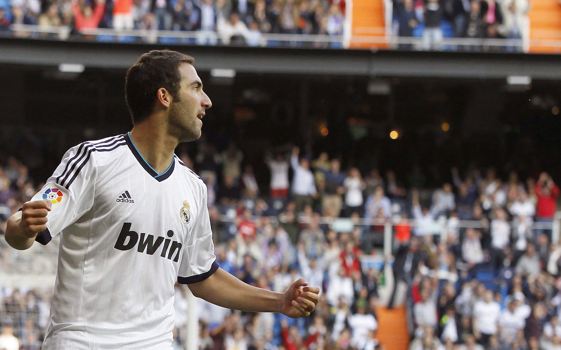 开云·体育官网APP下载-球场故事：运动员的动人追梦历程，球赛运动员